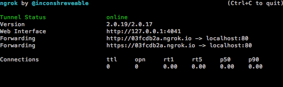 ngrok command line ui