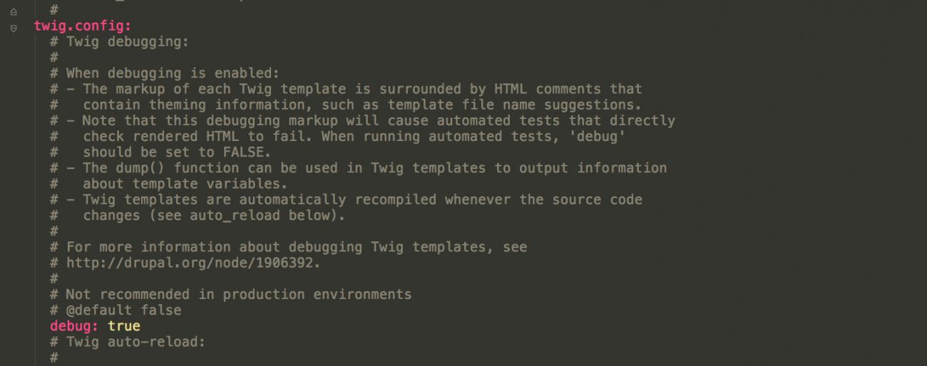 Twig debug setting