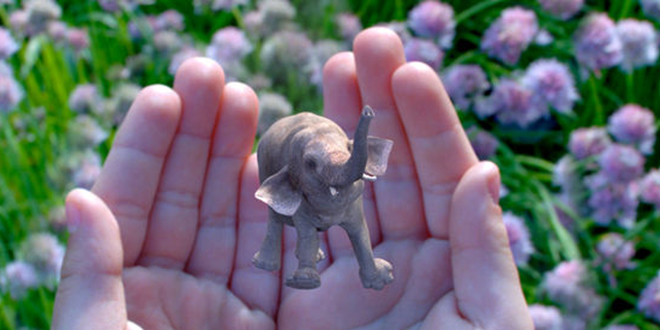 Magic Leap