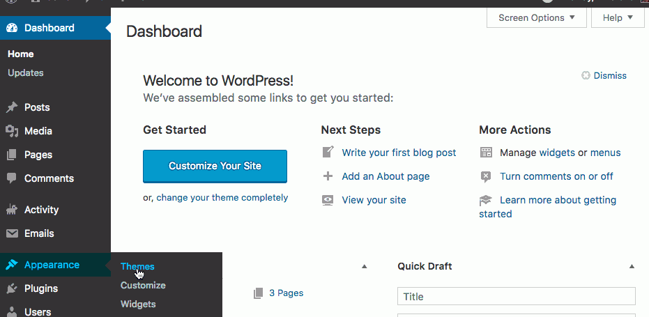 WordPress user interface to download and install themes