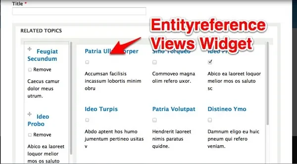 entityreference_views_widget.jpg