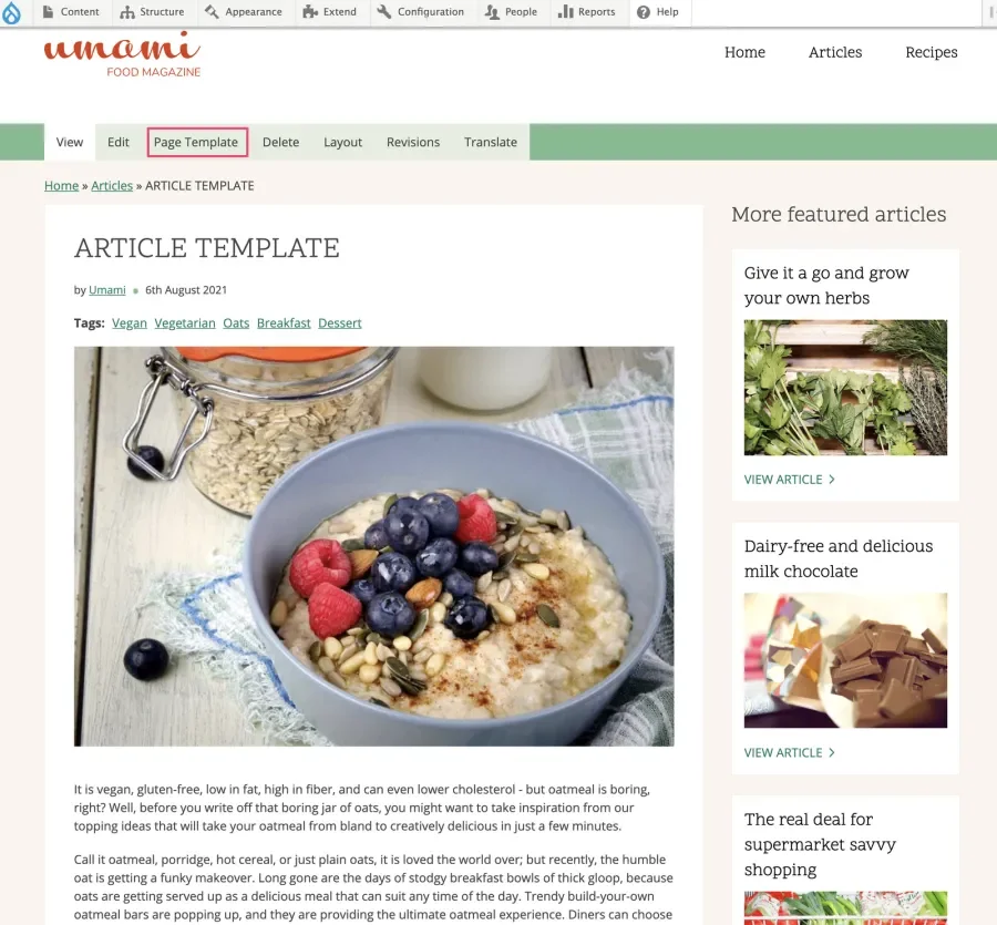 Article page from Umami template, with the "Page Template" tab highlighted.
