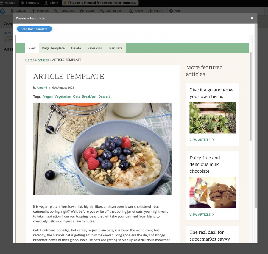 viewing a preview of the article template in a modal