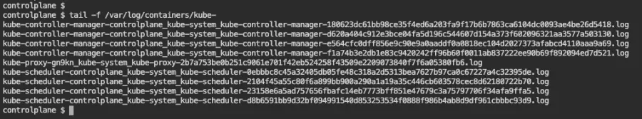 Output of tail -f /var/log/containers/kube-