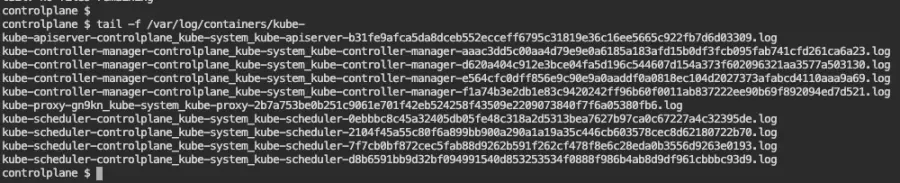 Output of tail -f /var/log/containers/kube-