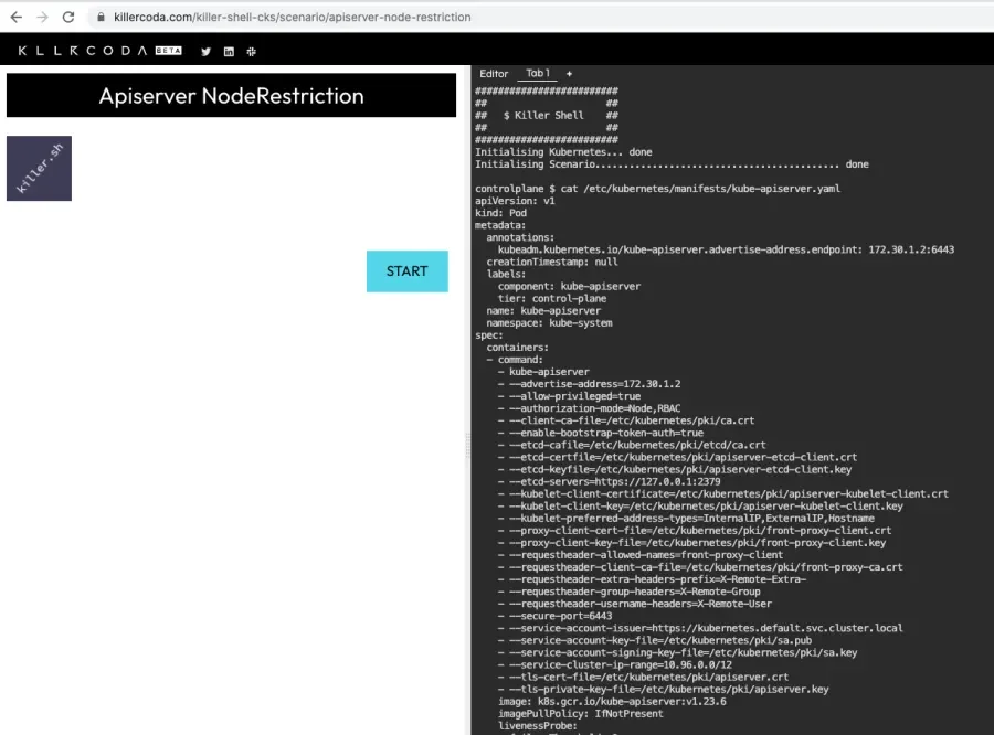 An active environment with the printed the contents of /etc/kubernetes/manifests/kube-apiserver.yaml