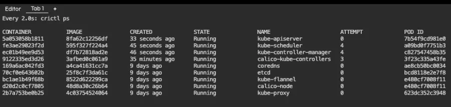 Output from watch crictl ps after kube-apiserver restarts