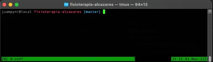 Default tmux window