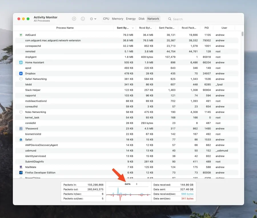 Network tab of activity monitor with red arrow pointing to the Data graph