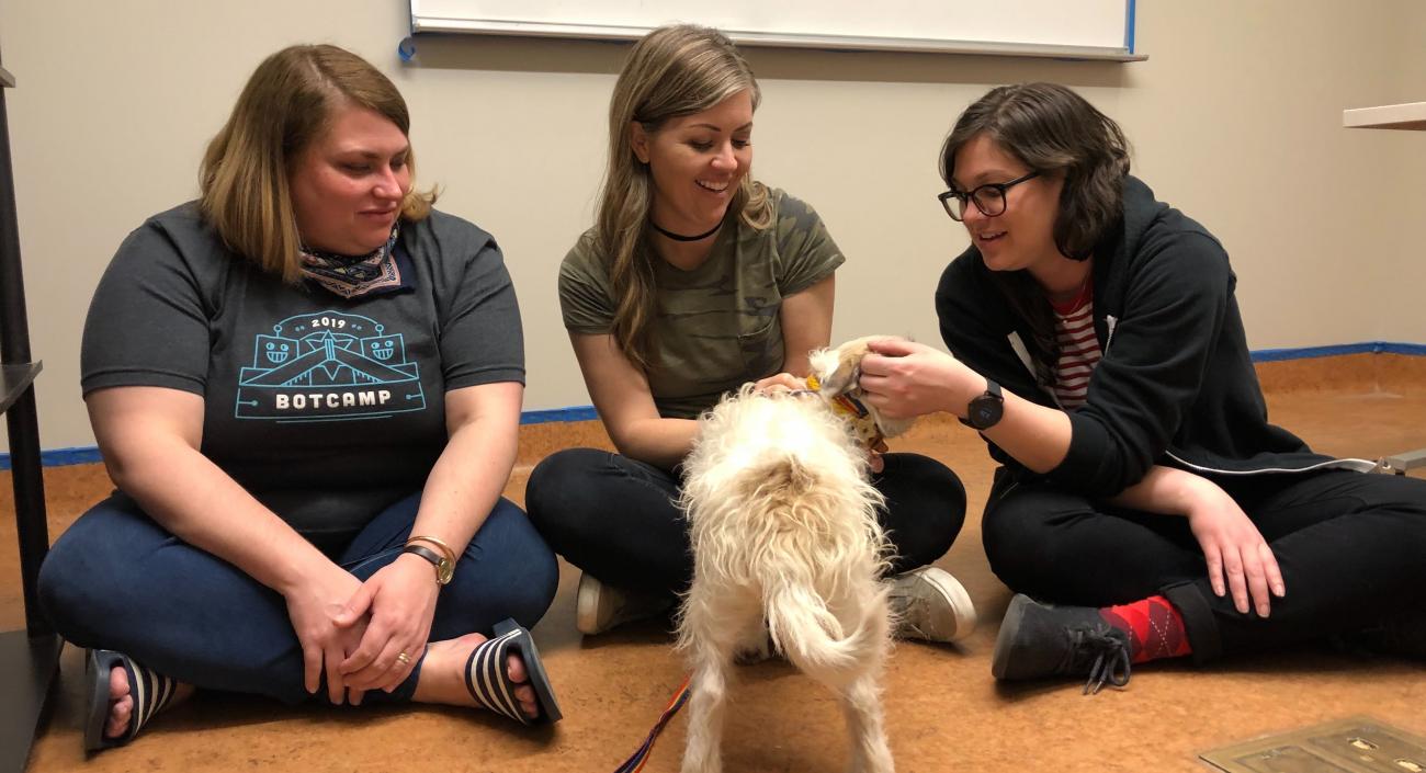 Lullabots volunteering at the Palm Springs Animal Shelter