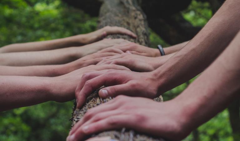 Hands on a log