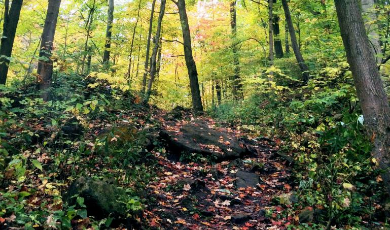Running trail