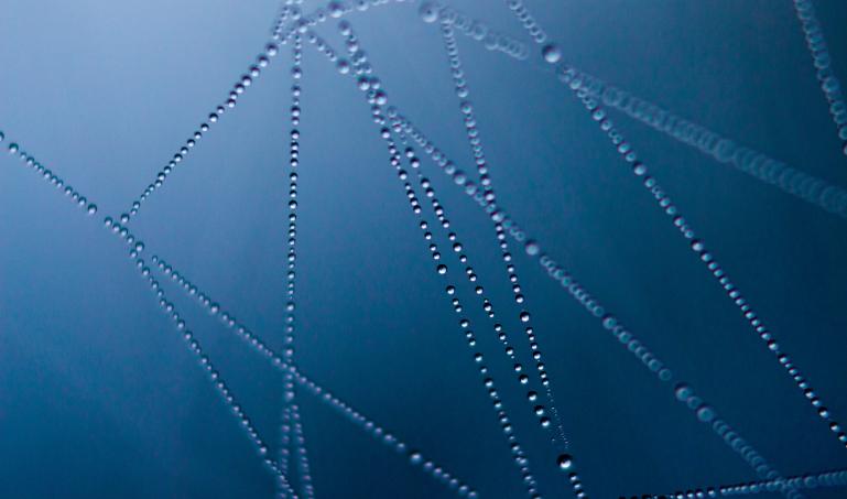 Close up of water droplets on a spider's web.