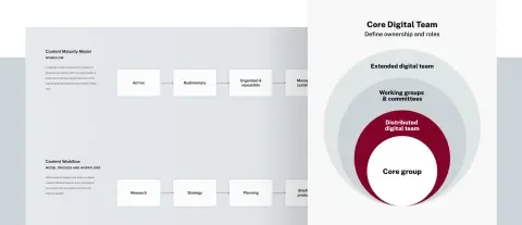 Diagram of UMass Amherst's content governance model, including the core digital team, extended digital team, working groups and committees, and their distributed digital team.