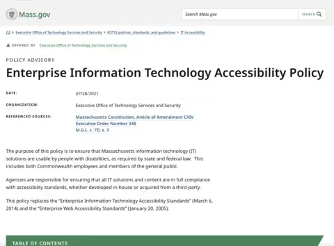 Screenshot of Mass IT accessibility policies page