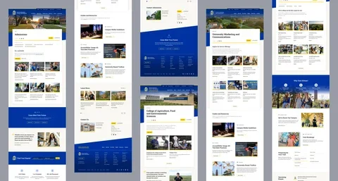 Screenshot of South Dakota State University's landing page components