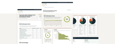 Overlapping screenshots of the Georgia Analytics dashboard showing statewide site performance rankings and a Department of Labor detail page with performance, accessibility, readability, device, browser, and operating system data.