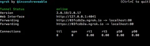 ngrok command line ui