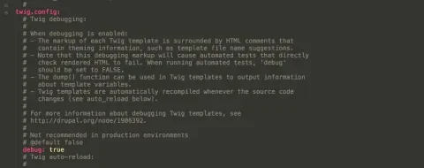 Twig debug setting
