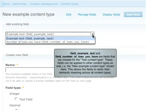 Fields retain semantic value across content types