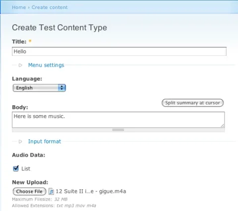 Drupal create field instance screenshot