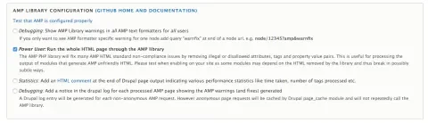List of options for the AMP library integration with the module: Check the option for running the full page through the library