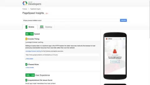 PageSpeed Insights Screenshot