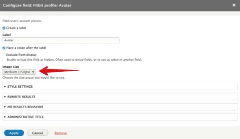 Avatar field settings