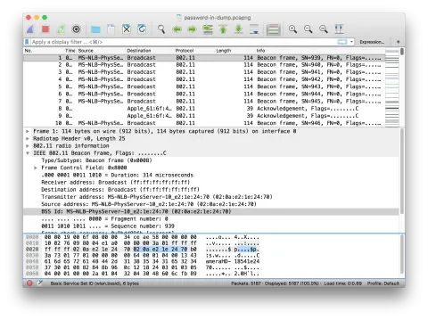 Showing WiFi frames in packet dump