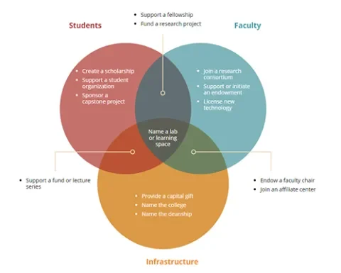 Venn Diagram